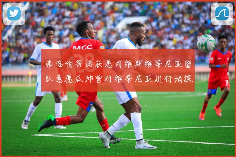 弗洛伦蒂诺获悉内维斯维蒂尼亚留队意愿瓜帅曾对维蒂尼亚进行试探
