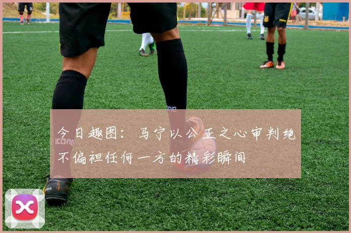 今日趣图：马宁以公正之心审判绝不偏袒任何一方的精彩瞬间